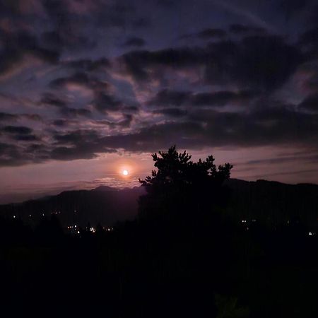 ズルツベルクStockreutehofアパートメント エクステリア 写真