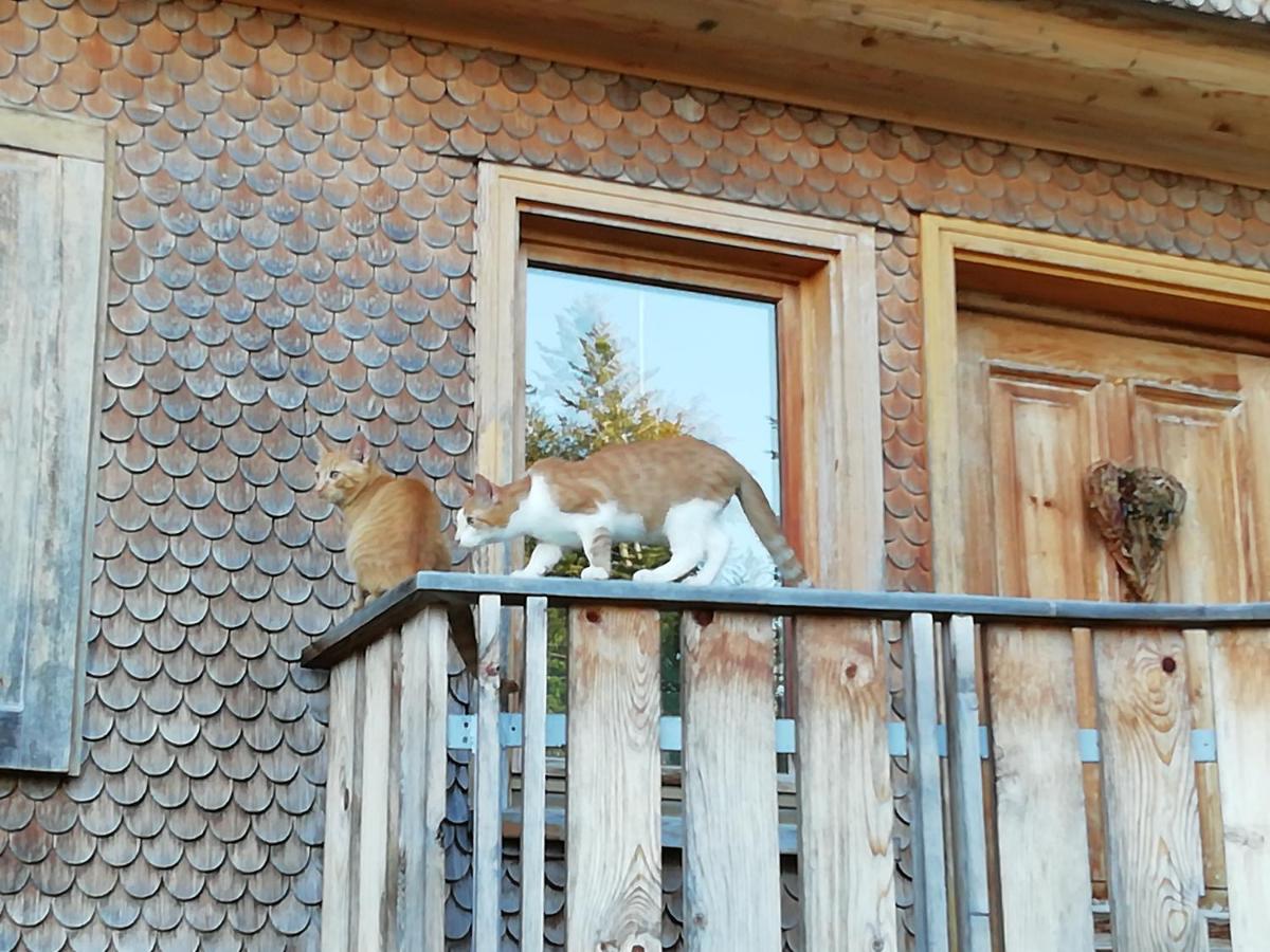 ズルツベルクStockreutehofアパートメント エクステリア 写真